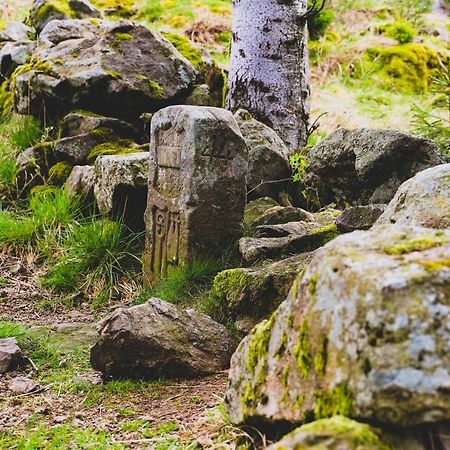 ホテル Berggasthof Haldenhof Vorderheubronn エクステリア 写真
