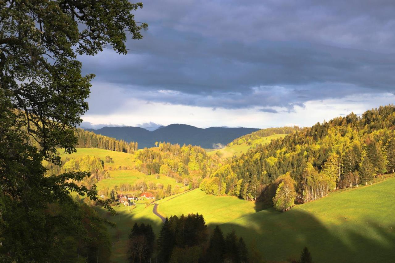 ホテル Berggasthof Haldenhof Vorderheubronn エクステリア 写真