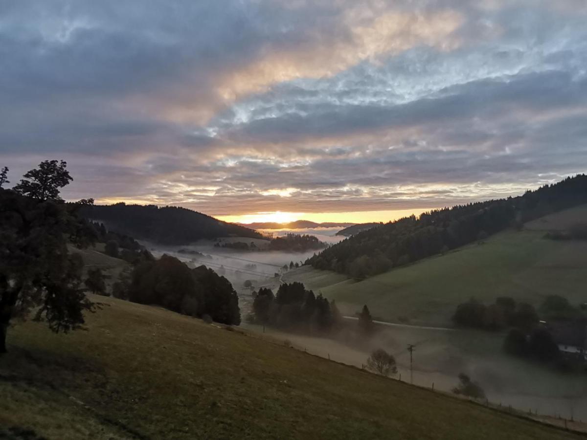 ホテル Berggasthof Haldenhof Vorderheubronn エクステリア 写真