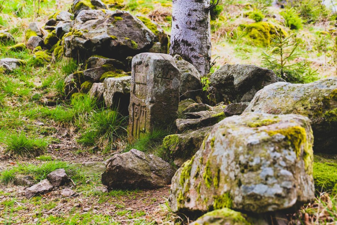 ホテル Berggasthof Haldenhof Vorderheubronn エクステリア 写真