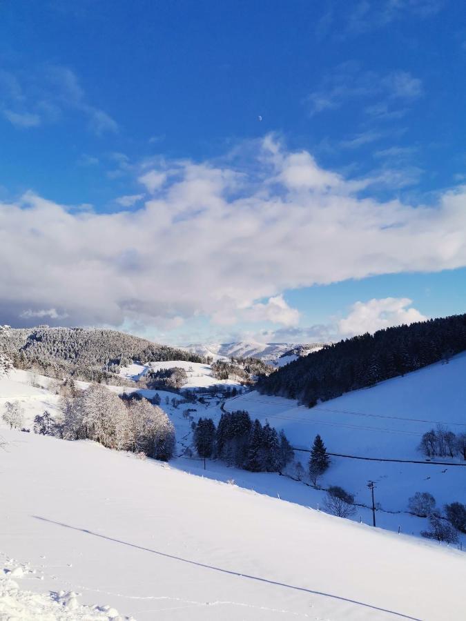 ホテル Berggasthof Haldenhof Vorderheubronn エクステリア 写真